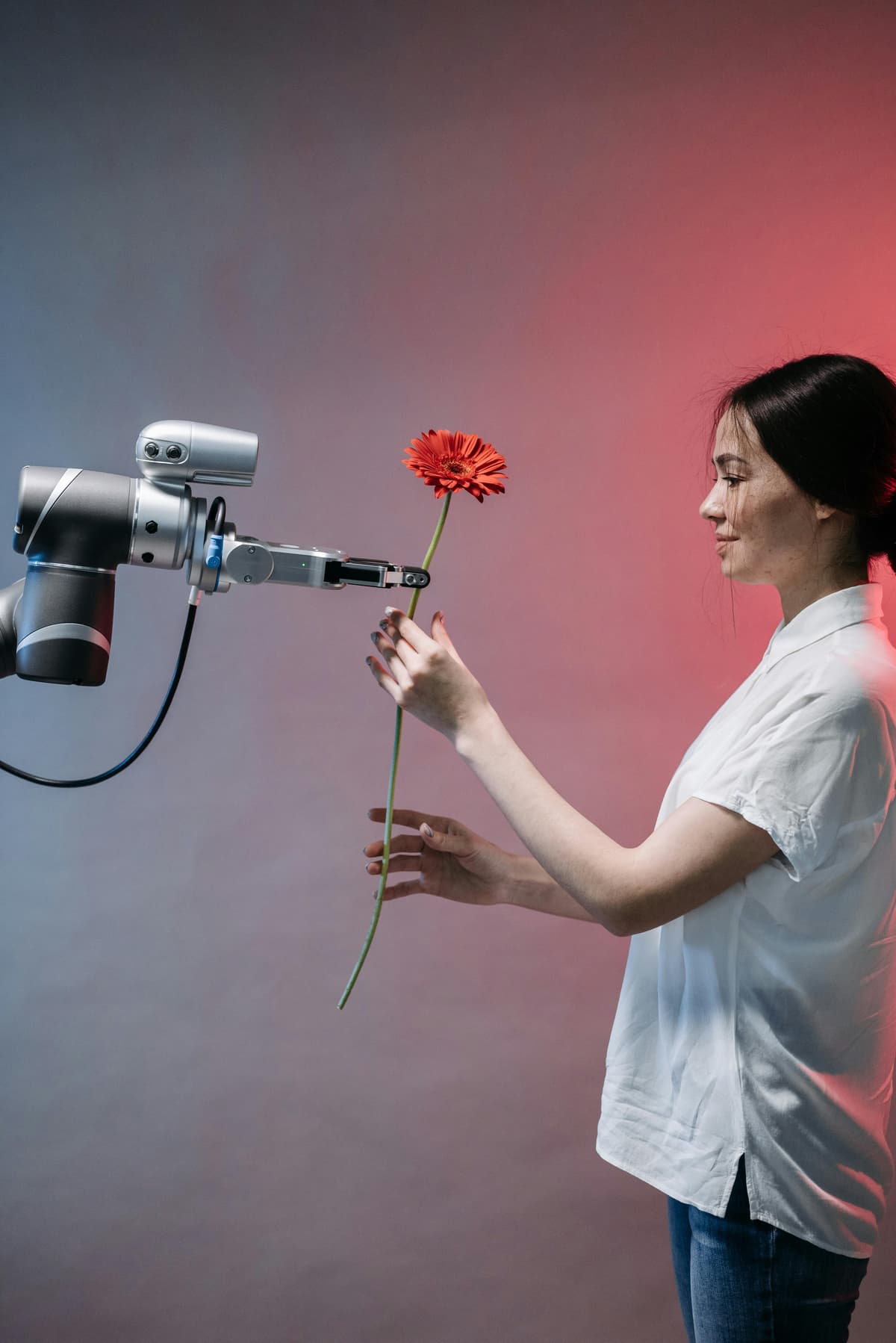 Google Kills Point Solutions: 12 AI Tools Consolidated Into 1